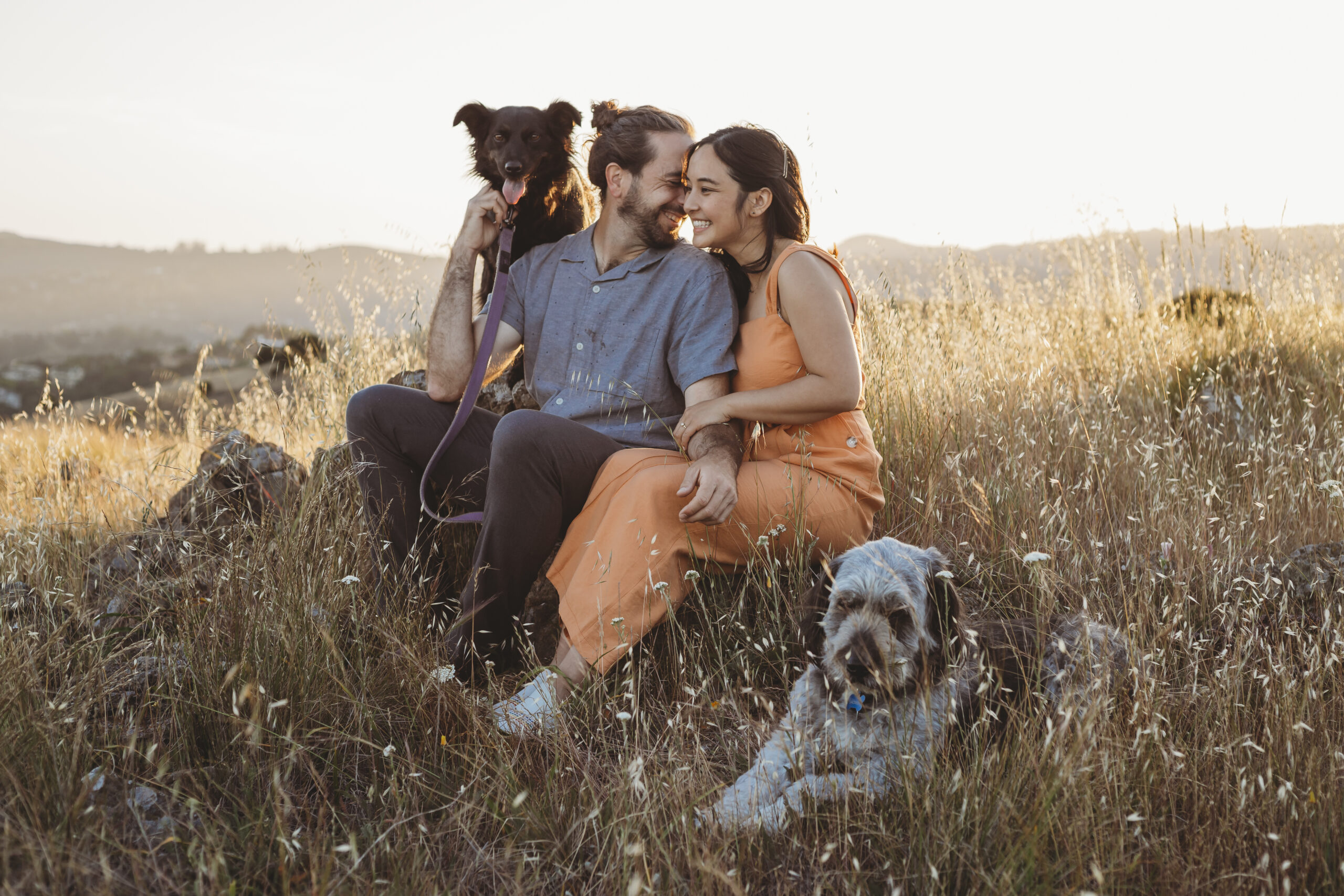 Couple engagement photo session with their two dogs on Ring Mountain in Marin County.