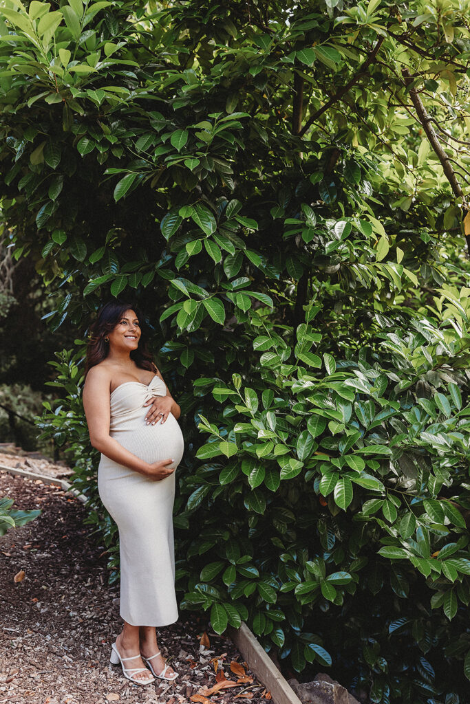 Pregnant woman standing under lush green tree holding belly in Oakland.