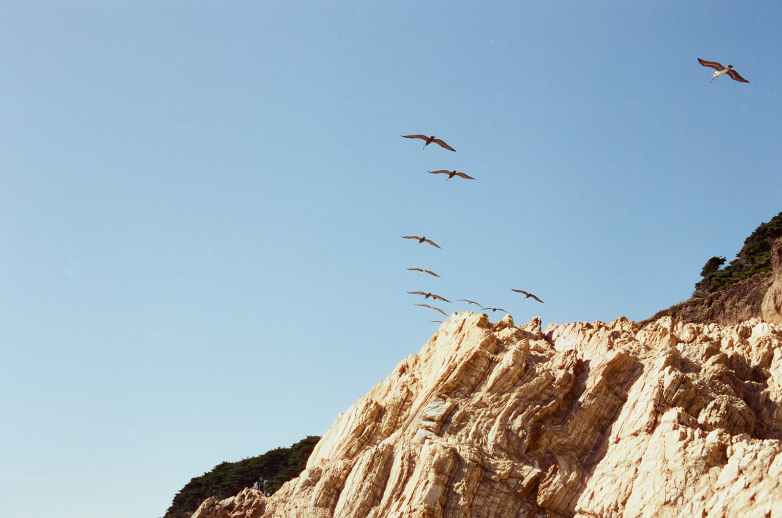 Pelicans flying over a rocky coastline. Taken by Skyler Maire Photography.