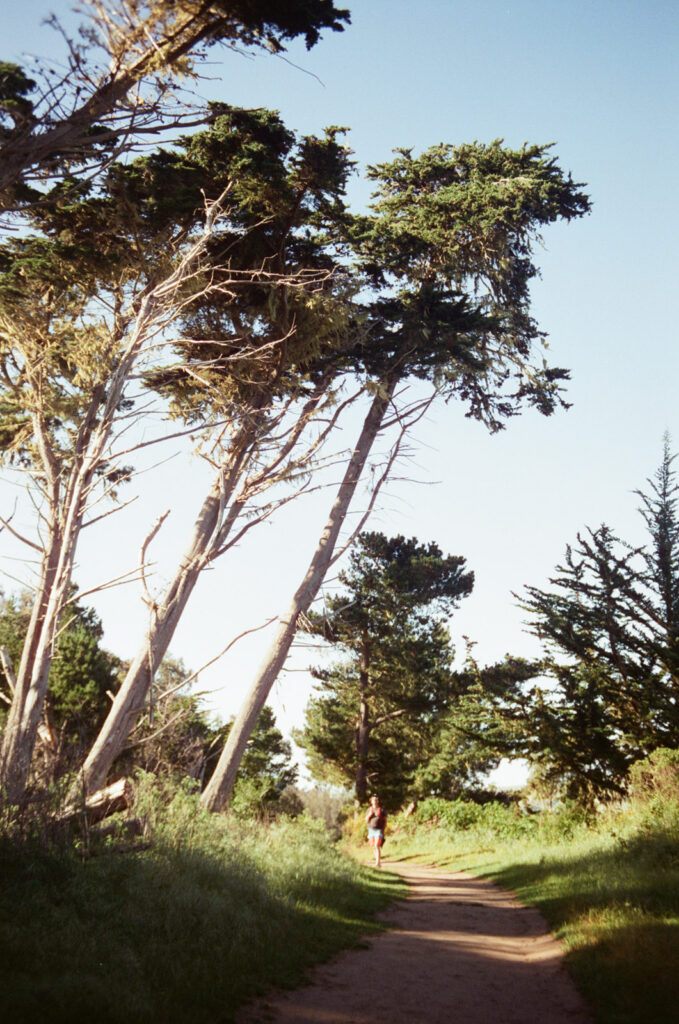 Man standing on a trail under windswept trees near Cambria, California. Taken by Skyler Maire Photography.